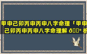 甲申己卯丙申丙申八字命理「甲申己卯丙申丙申八字命理解 💮 析」